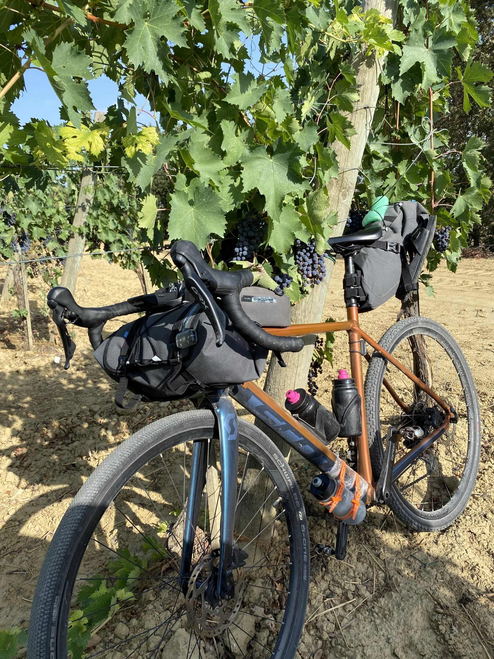 Bike in a Wineyard