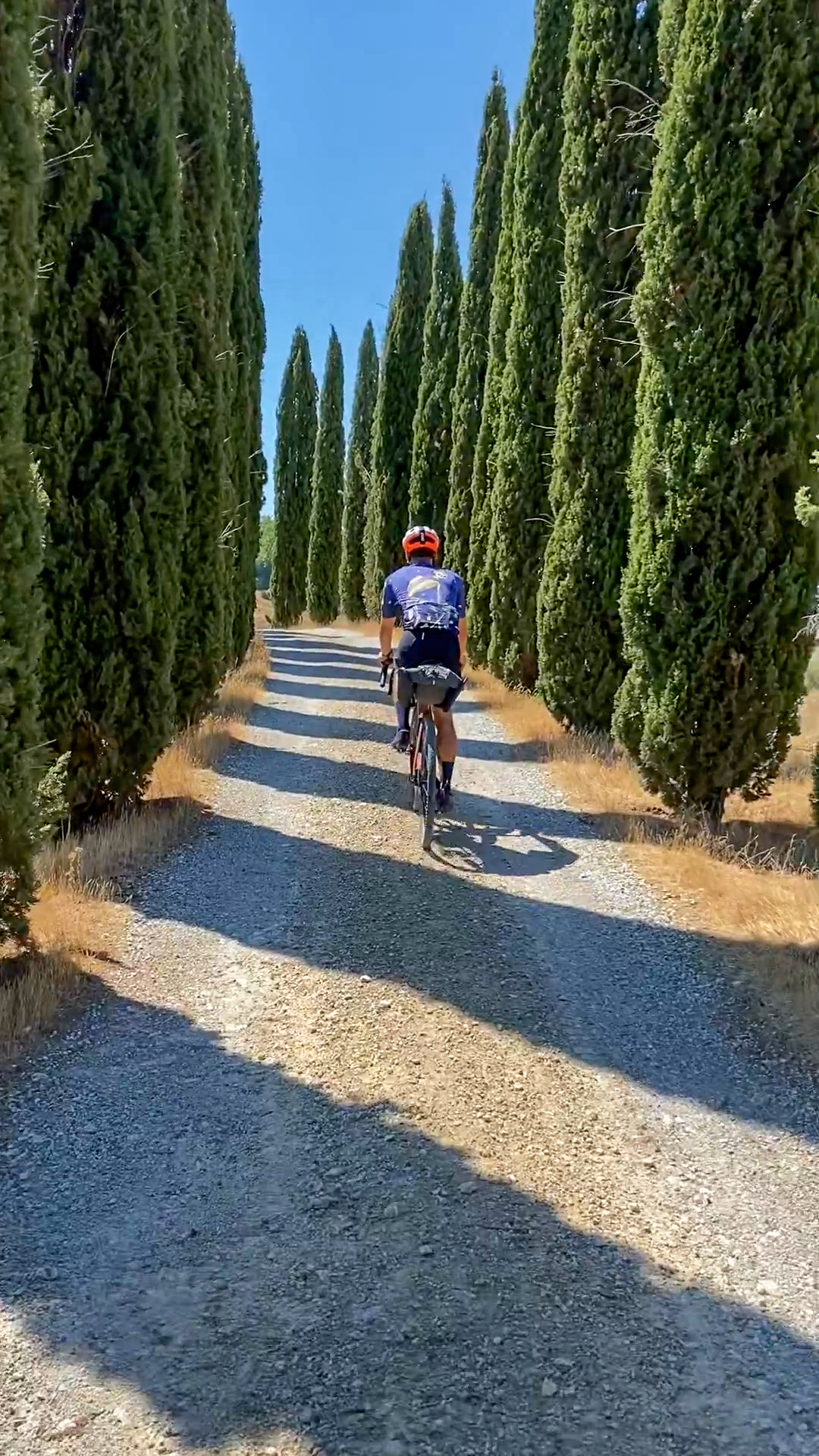 Classic road with cypresses on either side