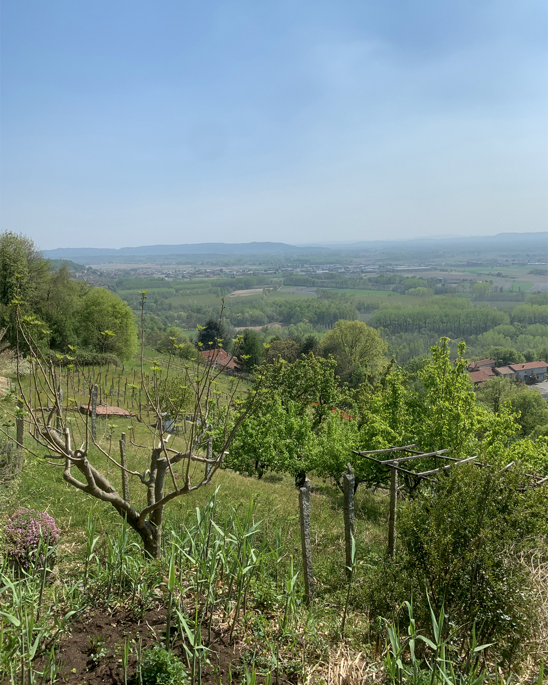 View on the valley